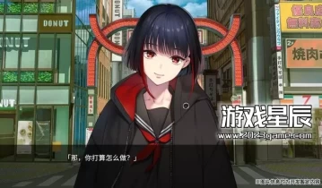 单机游戏《新宿葬命（SHINJUKU SOUMEI）》中文版下载