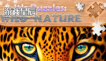 switch游戏《这是谜题：野性（It's Puzzles: Wild Nature）》英文版nsp下载